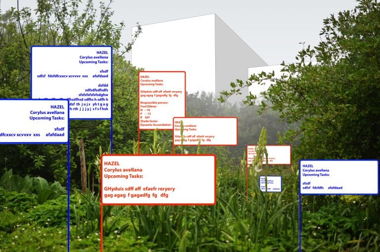 Example of plants and trees with text boxes labelling them and providing further information.