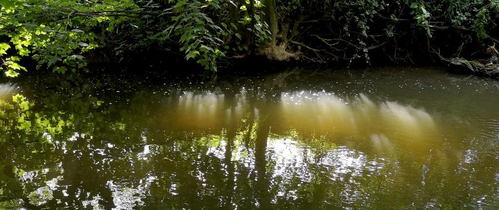A close up of the dark water of the River Frome in Eastville Park