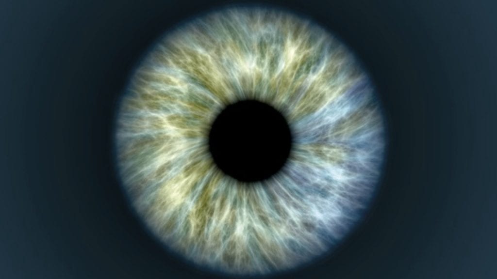 close up of an eye, the colour is a light grey