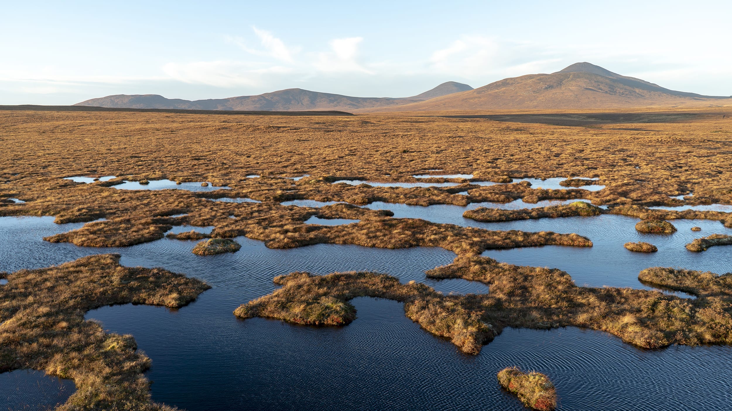 The Flow Country, RSPB reserve, Forsinard, Scotland, taken whilst on Cryptic Artist residency, 2019. Photo by Kathy Hinde